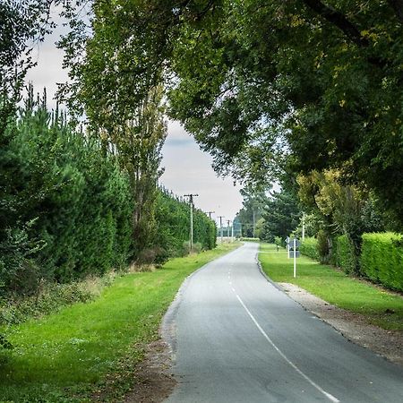 Mount Thomas Road B&B Rangiora Esterno foto