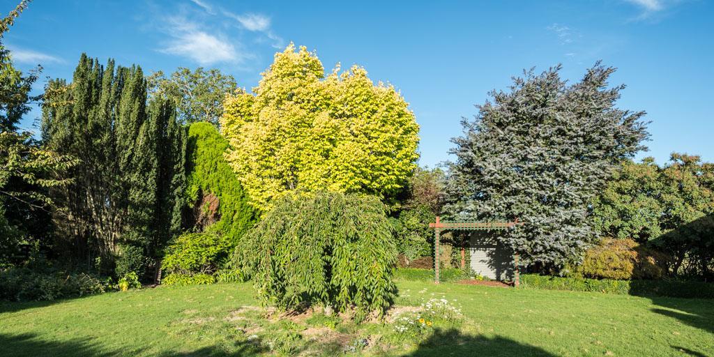 Mount Thomas Road B&B Rangiora Esterno foto