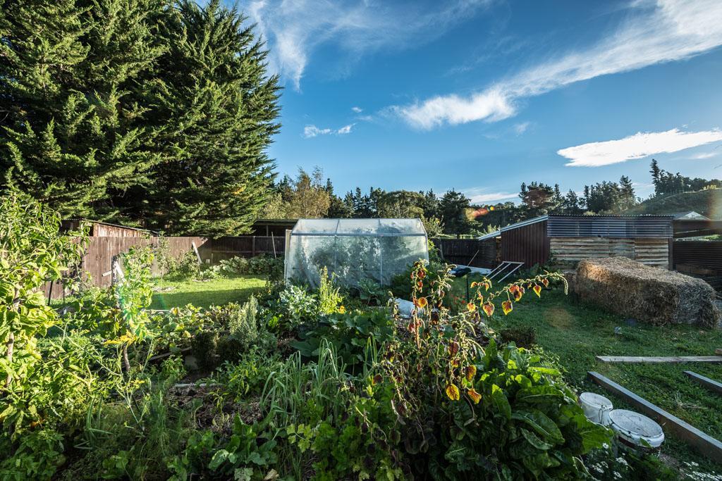 Mount Thomas Road B&B Rangiora Esterno foto
