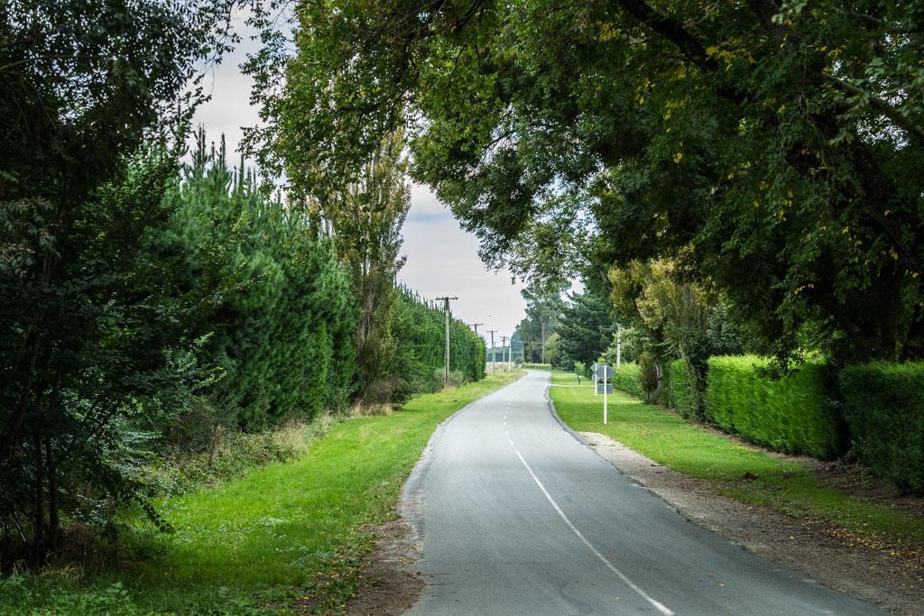 Mount Thomas Road B&B Rangiora Esterno foto